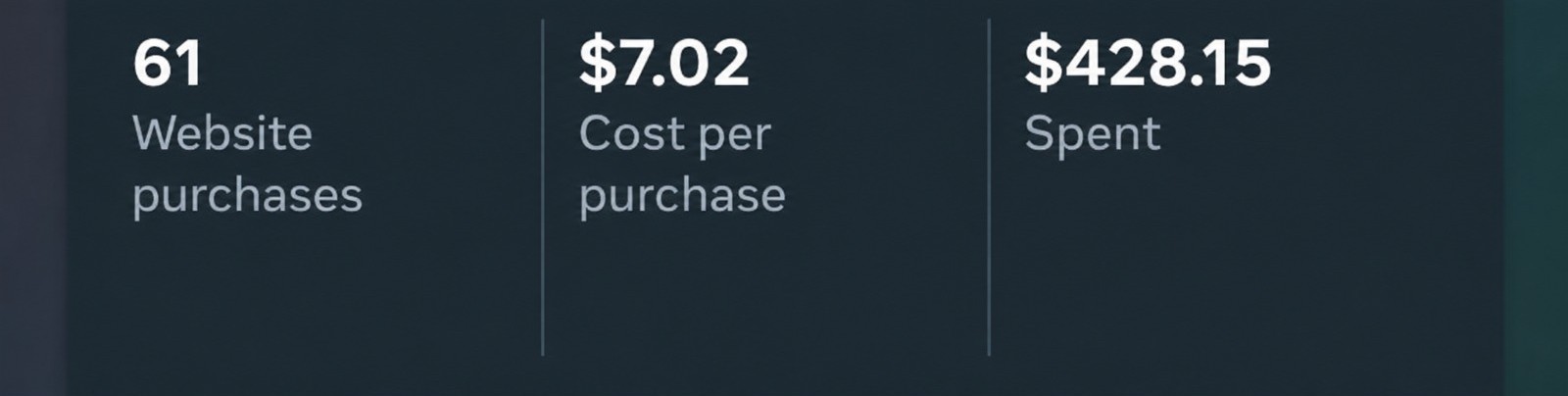 Meta ads result: 61 website purchases at $7.02 per purchase